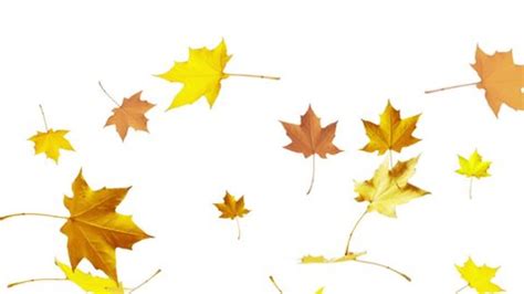 Image result for English Frame for Worksheet