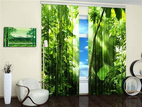 Image result for Curtains with Window Graphics