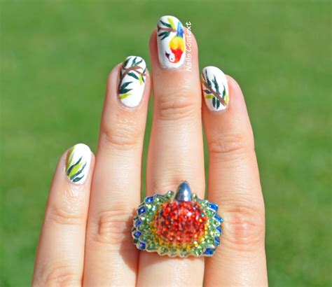 Image result for Overgrown Parrot Nails