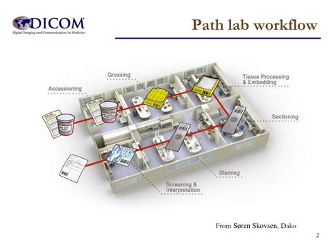 Image result for Workflow of Dry Lab