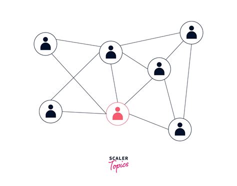 Neural Network as Directed Graph に対する画像結果