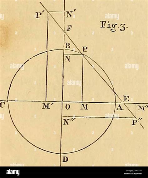 Image result for Calculus Types