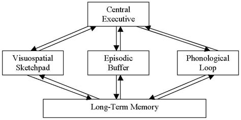 Image result for Short-Term Memory Concept Map