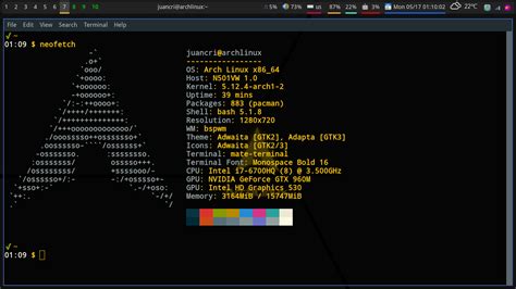 Image result for Linux Home Screen Computer