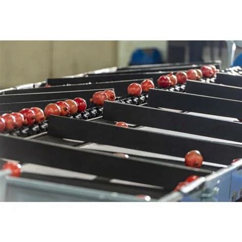 Image result for Sorting Pomegranate Machine