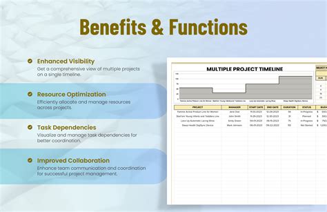Image result for Timeline for Multiple Projects