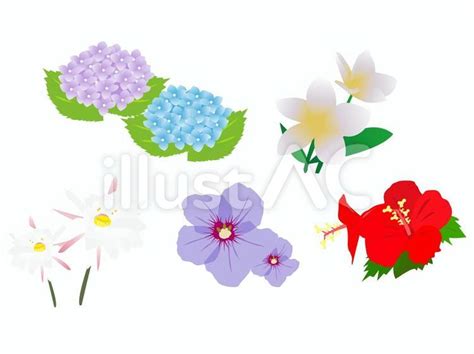 Cree Flower Design Vector に対する画像結果