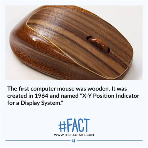 Image result for First Computer Mouse