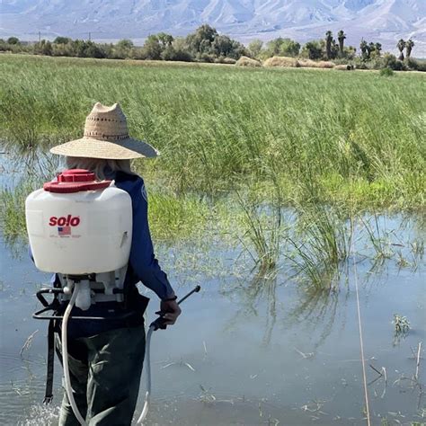 Image result for What Is Integrated Vector Management