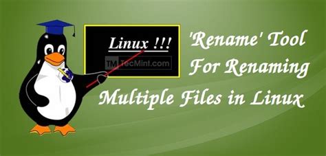 Image result for Rename Multiple Files in Unix