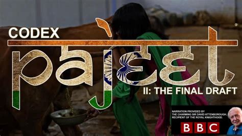 Toradh íomhá ar Java Pajeet