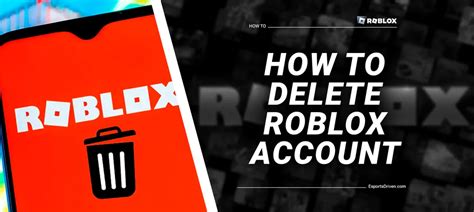 Image result for How to Delete Roblox Web