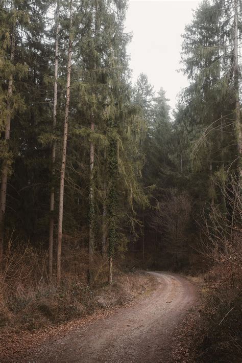 Arduino Logo 4K に対する画像結果