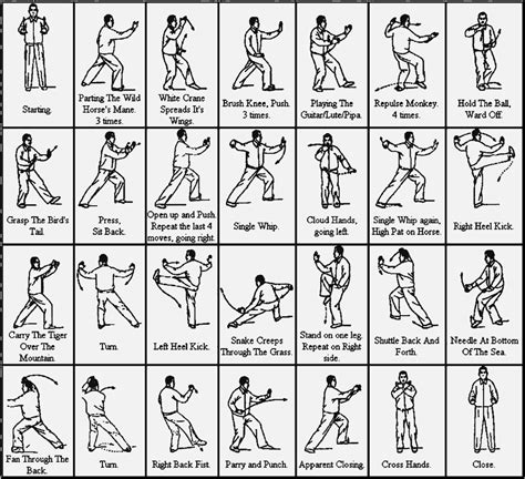 Tai Chi Chart に対する画像結果