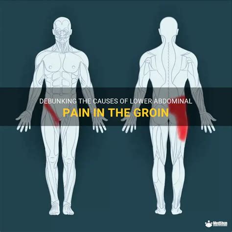 Afbeeldingsresultaten voor Groin Exercises Women