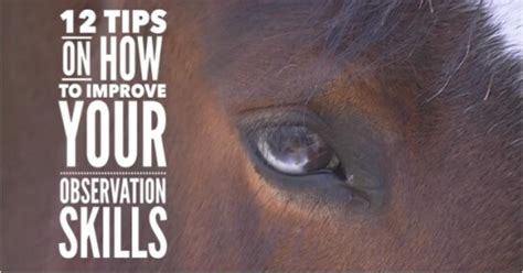 Objective Observation に対する画像結果