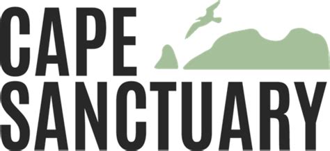 Image result for Cape Sand Box Logo