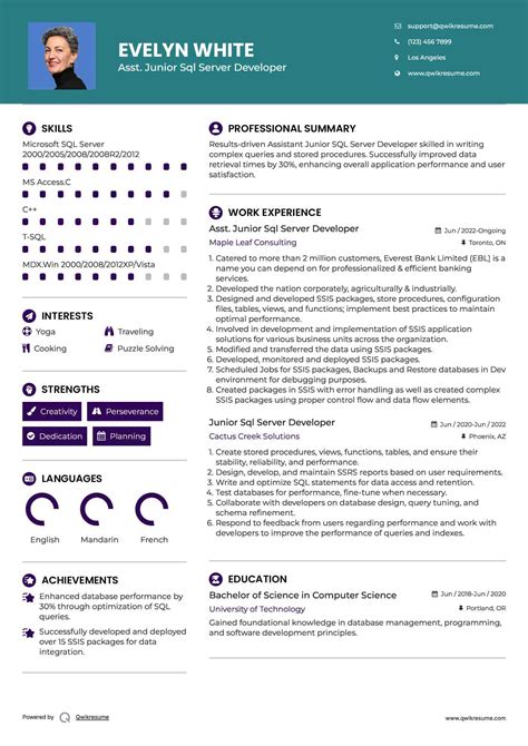 Image result for SQL Server Developer Resume