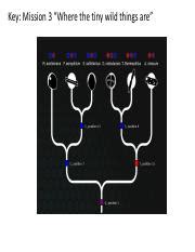 Image result for The Evolution Lab Gecko Tree Answer Key PDF