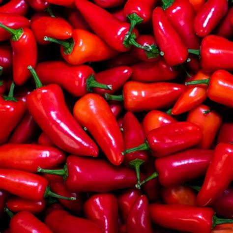 Fresno State Student Union に対する画像結果