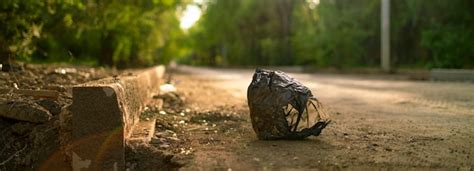 Image result for Garbage On Paved Street