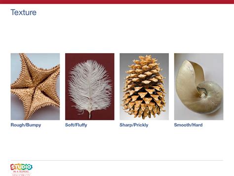 Image result for Exploring Texture and Pattern in Drawing