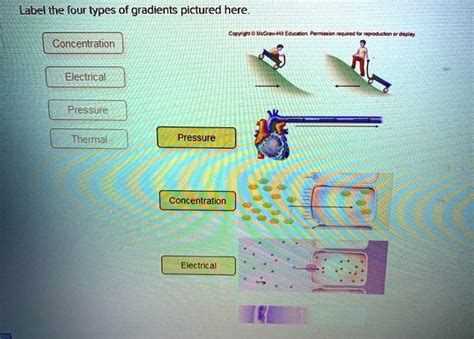 Image result for Types of Pressure Gradient