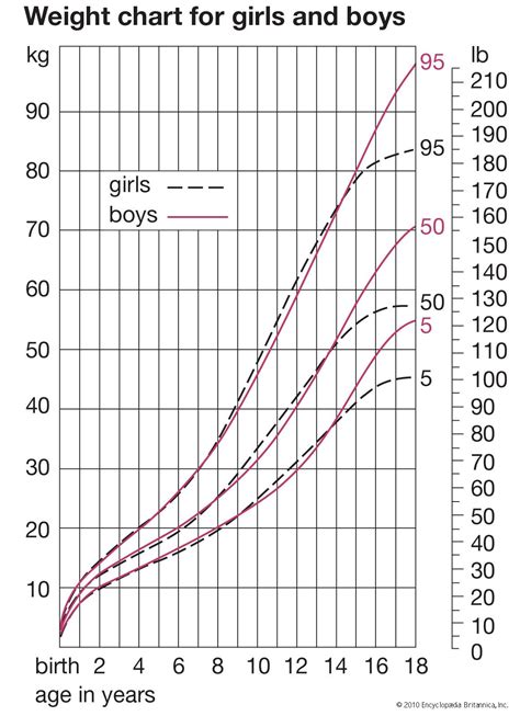 Afbeeldingsresultaten voor Normal Human Development