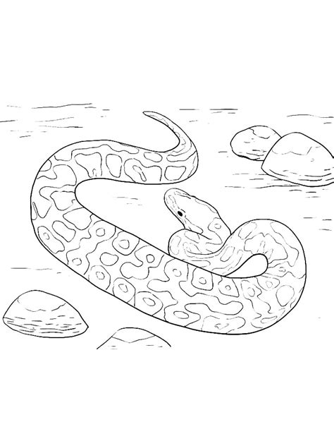 Image result for Python Attack Colouring