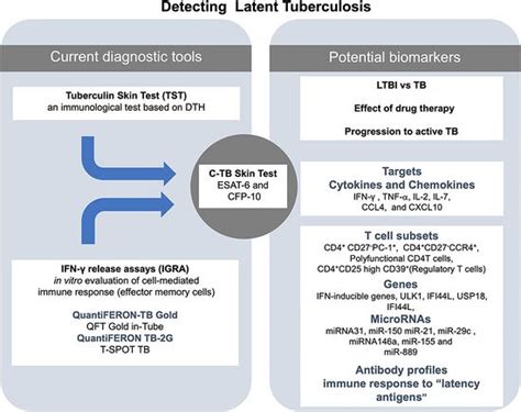 Image result for Tuberculosis Latent Stage