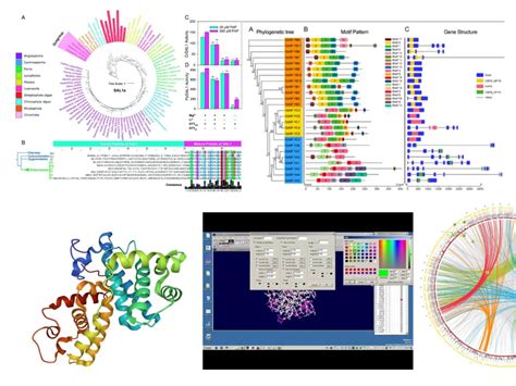 Image result for R Data Visualization in Bioinformatics