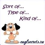 Image result for Sort Kind Type