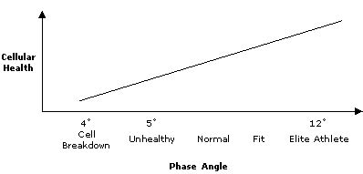 Image result for Positive Phase Angle