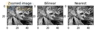Image result for Interpolate Image Segmentation Python