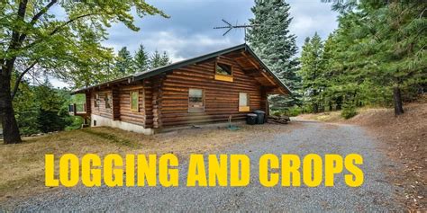 Image result for FS19 Logging