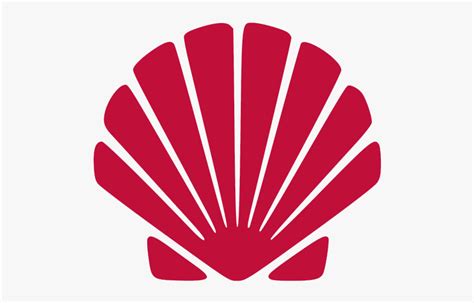 Image result for Shell Vector Transparent