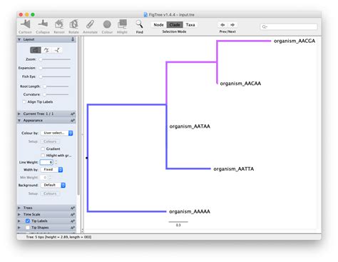 Image result for Fig Tree Software Evolution
