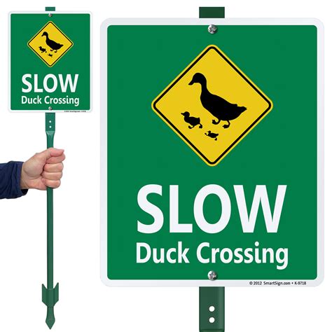 Image result for Slow Birds Crossing