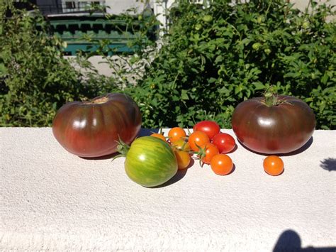 Bildergebnis für LLM Open Source Landscape