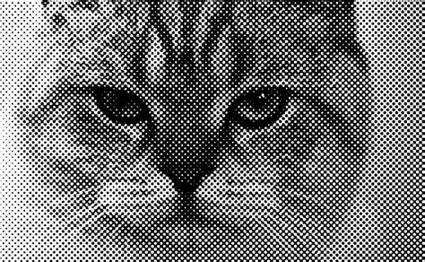 Image result for Halftone Effect Pattern