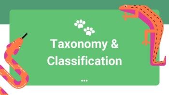 Image result for Taxonomy Classification Presentation