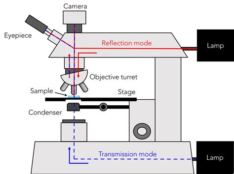 Afbeeldingsresultaten voor Microscope Setup