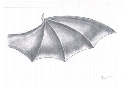 Dragon Wings Drawing at PaintingValley.com | Explore collection of ...