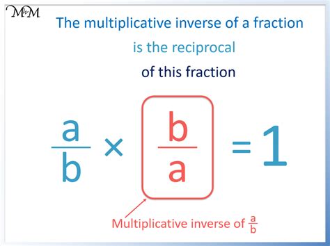 Non Example of Multiplicative Inverse に対する画像結果