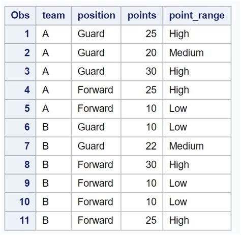 Toradh íomhá ar SAS Format Statement Example