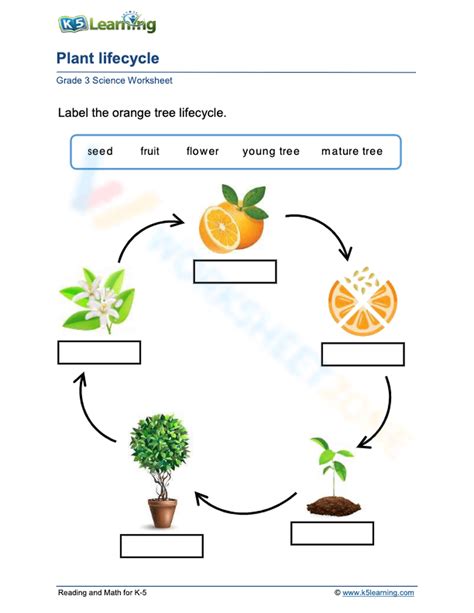 Afbeeldingsresultaten voor Copy and Paste Life Cycle Chart