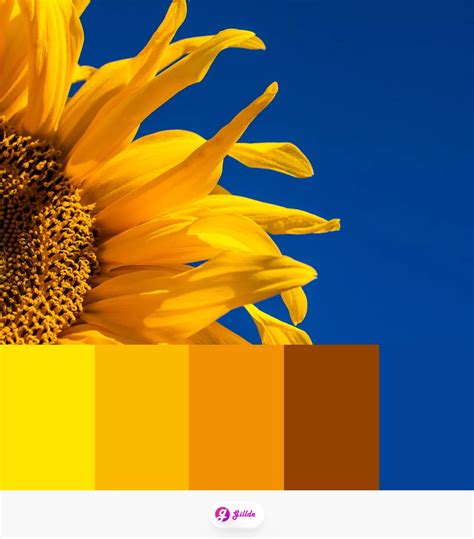 Image result for Yellow Python Color Pallete