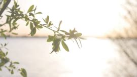 Image result for Wired Feeling