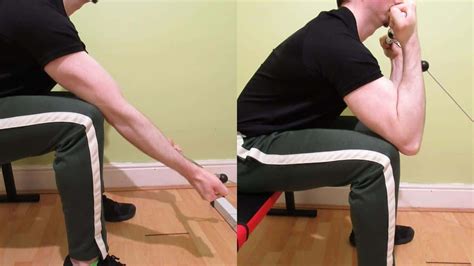 Image result for Concentration Curl