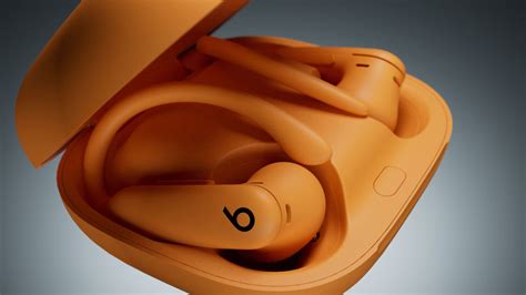 Image result for Power Beats Pro App